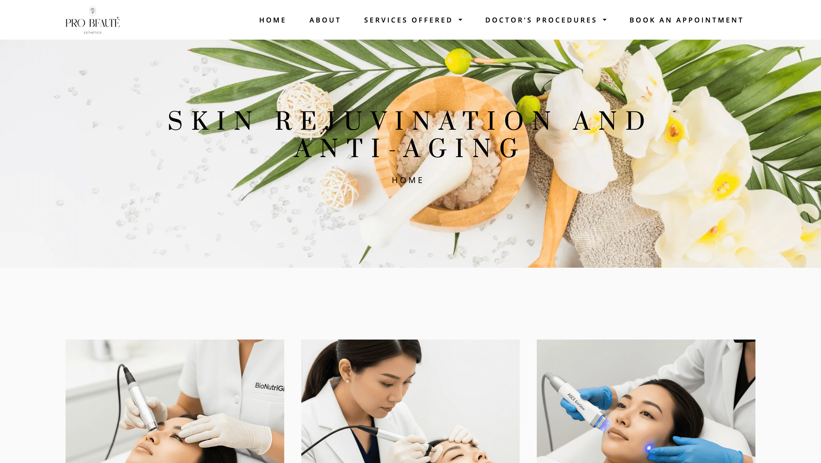 Probeauteph Website screenshot 2